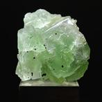 Esthétique Fluorite verte avec Pyrite, Sardaigne Cristaux