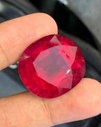 Rood Toermalijn - 67.46 ct - Guild Gem Laboratory -, Nieuw