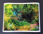 Viet Ha Tran - Monet Garden