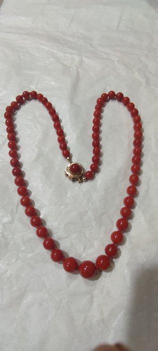 Halsketting - 15 karaat Geel goud Bloedkoraal - Koraal, Handtassen en Accessoires, Kettingen