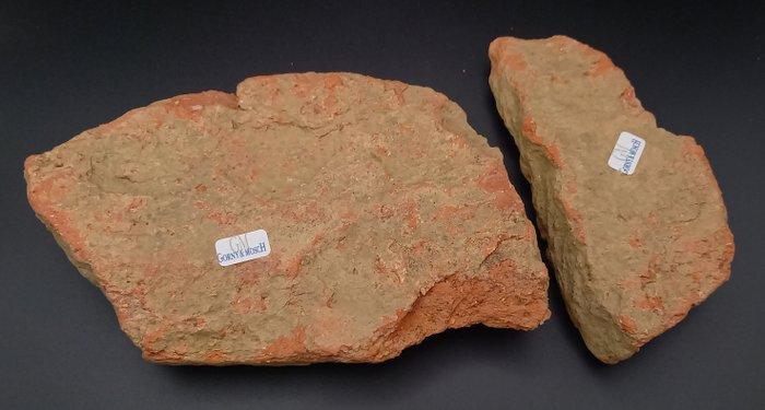 Oud-Grieks, Archaïsche Periode Terracotta Twee fragmenten, Antiek en Kunst, Antiek | Overige Antiek