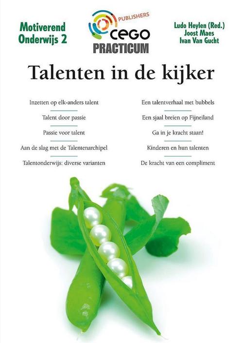 Practicum - Talenten in de kijker 9789077343722 Ludo Heylen, Boeken, Schoolboeken, Zo goed als nieuw, Verzenden