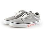 Vans Sneakers in maat 41 Grijs, Kleding | Heren, Schoenen, Overige kleuren, Verzenden, Sneakers, Vans