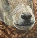 Conny van Leeuwen - Schaap, Antiquités & Art, Art | Peinture | Moderne