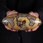 Shiva Lingam van Septaria: Innerlijke alchemie voor