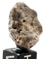 Maanmeteoriet Touat 008 Lunar melt breccia meteoriet,, Verzamelen