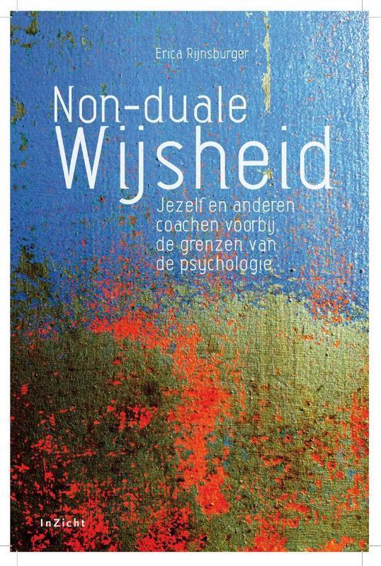 Non duale wijsheid 9789077908136 Erica Rijnsburger, Boeken, Esoterie en Spiritualiteit, Gelezen, Verzenden