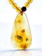 Barnsteen - Collector’s Fossil AMBER Necklace - Detailed, Antiek en Kunst