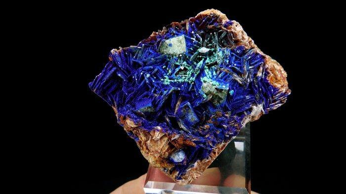 Azuriet met Malachiet op Fluoriet en Baryt - Sidi Ayed,, Verzamelen, Mineralen en Fossielen