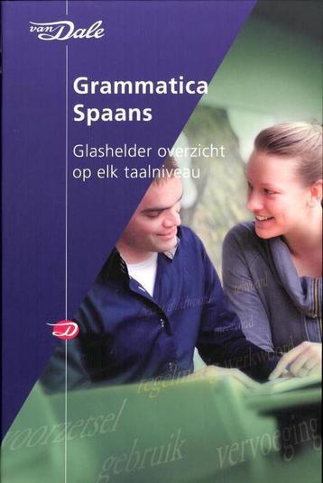 Van Dale grammatica Spaans / Van Dale grammatica, Verzenden, Cristina Irún Chavarría