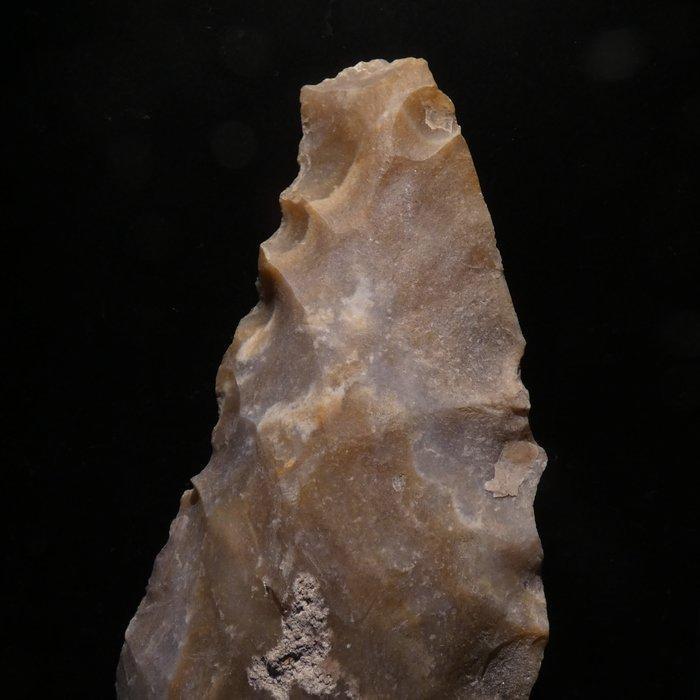 Neolithisch Botervloot. 30 cm L. 5000 v.Chr. Bijl, Antiek en Kunst, Antiek | Overige Antiek