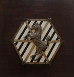 Architectonisch ornament - Stemma con zebra - 54 cm -, Antiek en Kunst