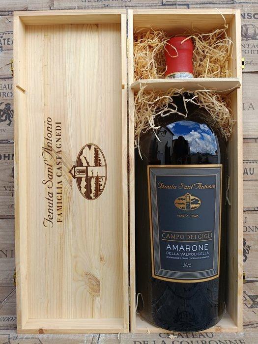 2012 Tenuta SantAntonio Campo dei Gigli - Amarone della, Verzamelen, Wijnen