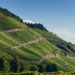 2010 Fritz Haag, GK - Brauneberger Juffer Riesling, OHMS, Verzamelen, Nieuw