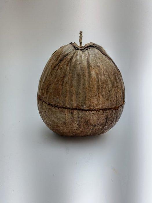 Ijsemmer - kokosnoot - Hout - Art Deco kokos ice buck, Antiek en Kunst, Curiosa en Brocante