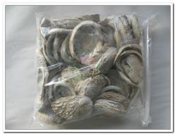 Abalone Hal. Midae per kilo Abalone Hal. Midae per ki, Hobby en Vrije tijd, Knutselen, Nieuw