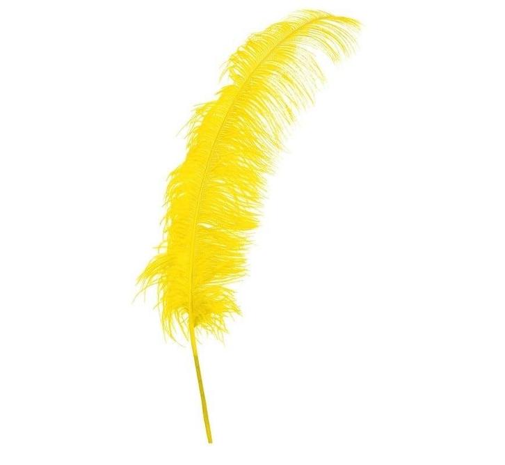 Gele Struisvogelveren 50cm 12st, Hobby en Vrije tijd, Feestartikelen, Nieuw, Verzenden