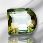 Toermalijn - 13.22 ct - nternational Colored Gemstone, Nieuw