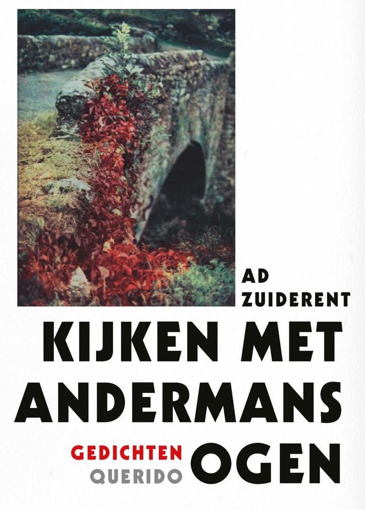 Kijken met andermans ogen 9789021467856 Ad Zuiderent, Livres, Poèmes & Poésie, Envoi
