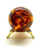 Bal met bij en Baltische amberstenen - Barnsteen - Succinite