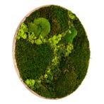 Mosschilderij Rond 40 cm Ongelakt Eiken - Svendborg Lentegro, Verzenden, Nieuw