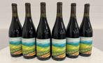 2020 Saison Winery. Pinot Noir Lester. - Californie - 6, Verzamelen, Nieuw