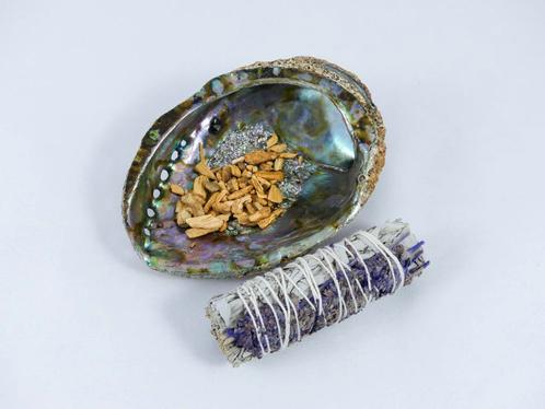 Set Abalone - Abalone Schelp, Smudgestick en Palo Santo S..., Maison & Meubles, Accessoires pour la Maison | Autre, Enlèvement ou Envoi