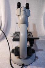 Binocular microscope - NT-6V/10W - 1990-2000 - Duitsland -