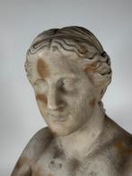 Buste, Venere - 54 cm - Marmer