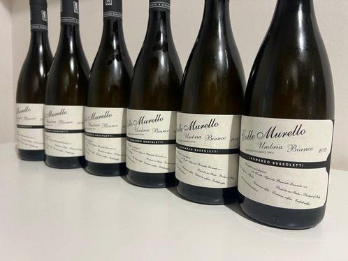 2017 Bussoletti, Colle Murello Trebbiano Spoletino - Umbrië, Verzamelen, Wijnen