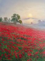 Emre Kinali - Poppies in the Mist