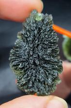 Moldavite - de Nesm, Bohême du Sud - Hauteur : 46 mm -, Verzamelen