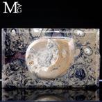 Étui pour cigares - Support à cigares exclusif - Fossil