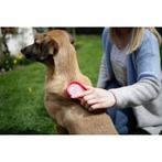 Magicbrush dog wildrose, Animaux & Accessoires, Accessoires pour chiens