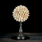 Decoratief ornament (2) - NO RESERVE PRICE - Stunning pair