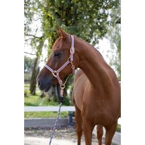 Licol cora gris/rose/blanc t. 1, Animaux & Accessoires, Chevaux & Poneys | Autres trucs de cheval