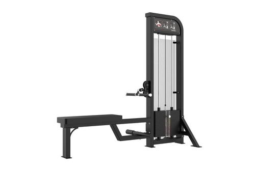 C21 | GYMFIT LOW ROW | CUSTOM-LINE | NIEUW, Sport en Fitness, Fitnessmaterialen, Overige typen, Nieuw, Verzenden