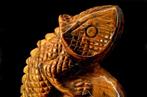 Œil de tigre de première qualité Chameleon - Hauteur : 10.1