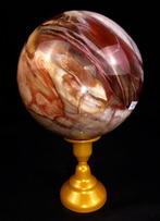 Versteend hout Bol - Hoogte: 12.7 cm - Breedte: 12.7 cm-, Verzamelen