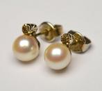 Zonder minimumprijs - Oorbellen - 14 karaat Witgoud Parel -, Nieuw