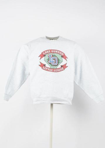 Fruit of the Loom Hoodie in Grey size L, Ophalen of Verzenden