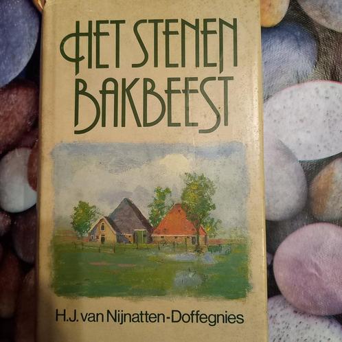 Stenen bakbeest 9789026962066 H.J. van Nijnatten-Doffegnies, Boeken, Streekboeken en Streekromans, Gelezen, Verzenden