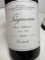 2022 Envínate Táganan Tinto - Tenerife, Canarische Eilanden, Verzamelen, Nieuw