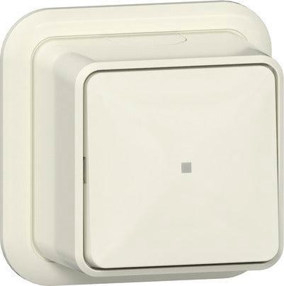 Gira Interrupteur À Bouton En Saillie Avec Fenêtre De, Bricolage & Construction, Électricité & Câbles, Envoi