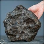 Zeldzame natuurlijke meteoriet Campo Del Cielo IJzer, Verzamelen