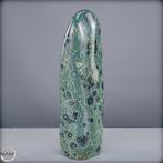 Natuurlijke Kambaba-vrije vorm Het groene fossiel van het, Verzamelen