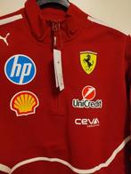 Ferrari - 2025 - Vêtements déquipe, Nieuw