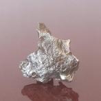 Magnifique météorite Gebel Kamil. Exemplaire sans prix de