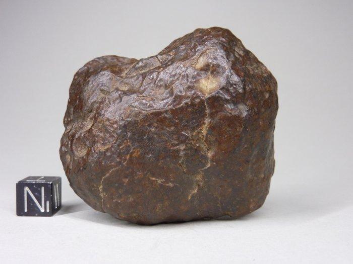 individu NWA 5418 Chondrite L6 à melt-bétriçée de météorite, Verzamelen, Mineralen en Fossielen