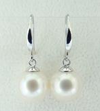 Zonder minimumprijs - Oorbellen - 18 karaat Witgoud Parel -, Nieuw